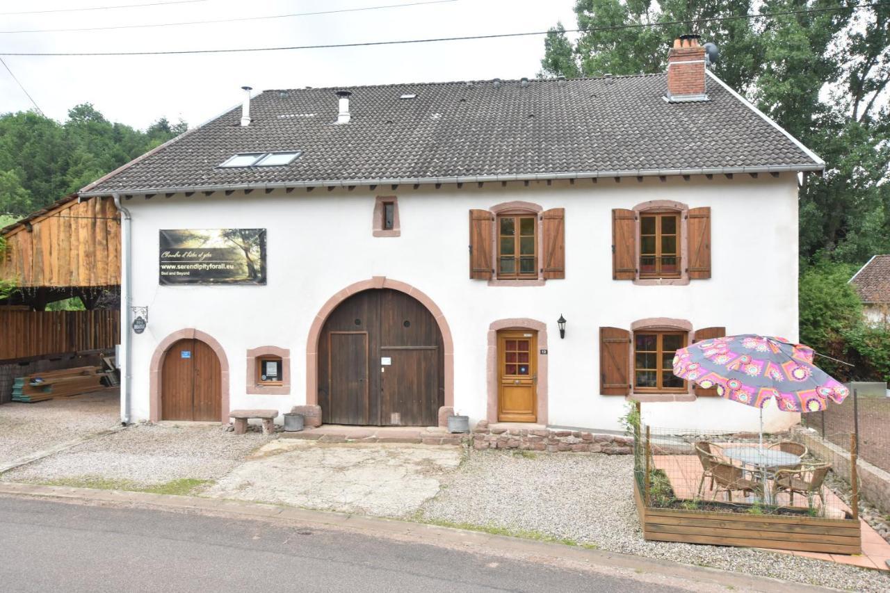 Serendipity Bed&Breakfast Saint-Die-des-Vosges Экстерьер фото