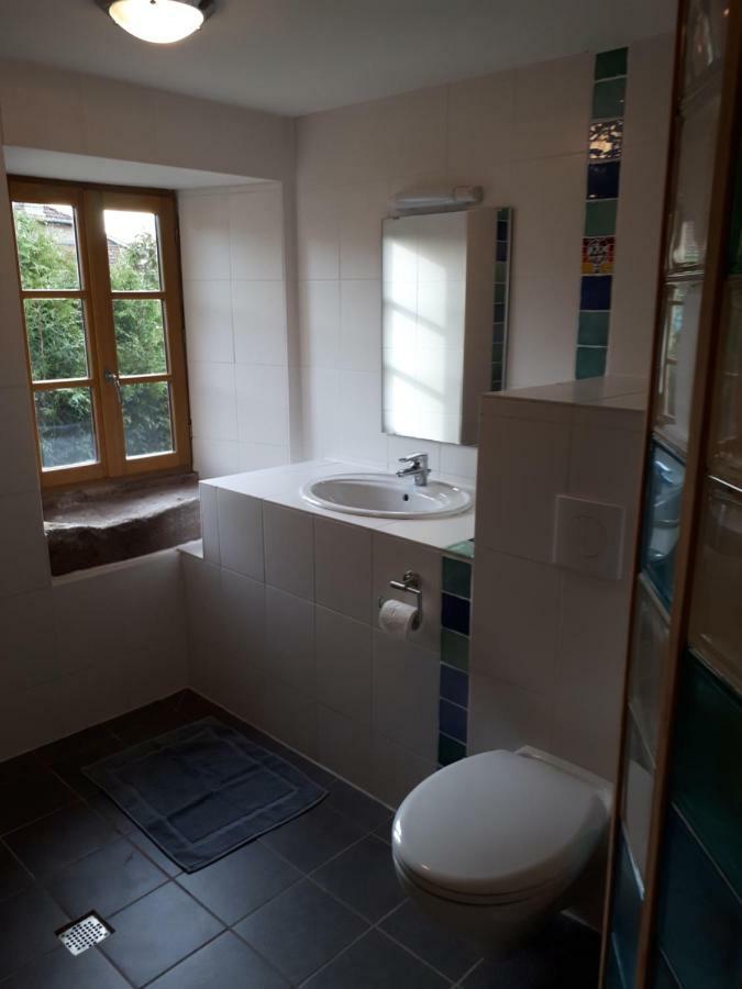 Serendipity Bed&Breakfast Saint-Die-des-Vosges Экстерьер фото