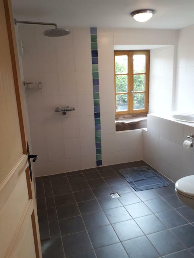 Serendipity Bed&Breakfast Saint-Die-des-Vosges Экстерьер фото