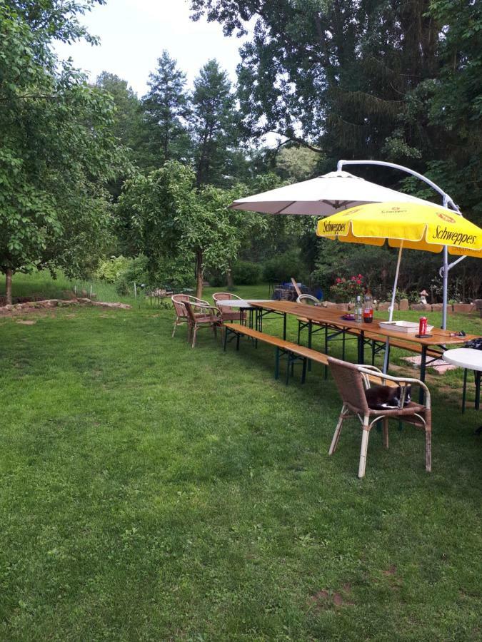 Serendipity Bed&Breakfast Saint-Die-des-Vosges Экстерьер фото