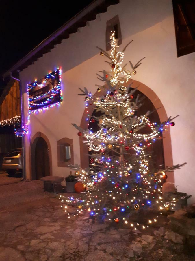 Serendipity Bed&Breakfast Saint-Die-des-Vosges Экстерьер фото